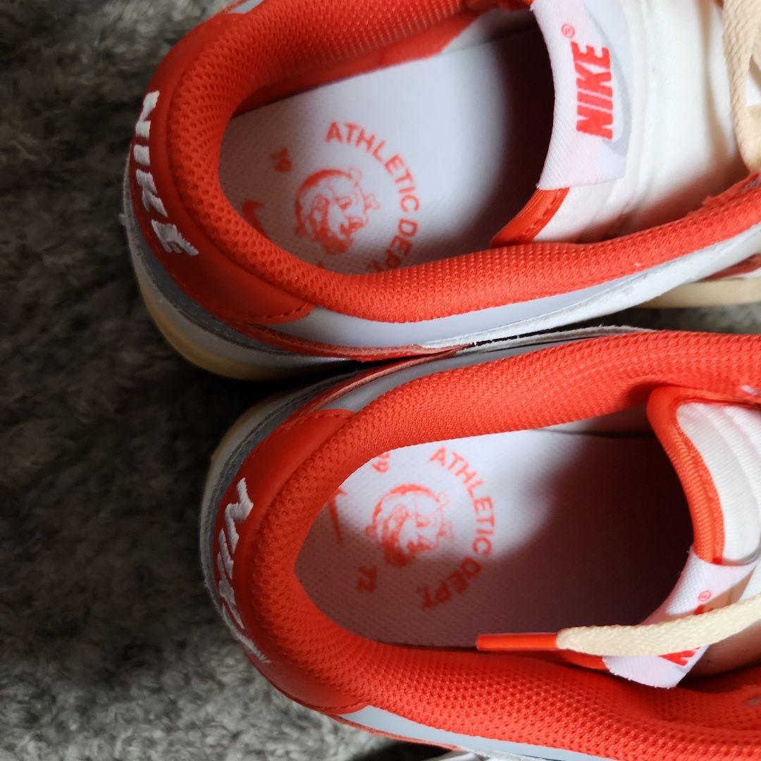 NIKEダンクローSE