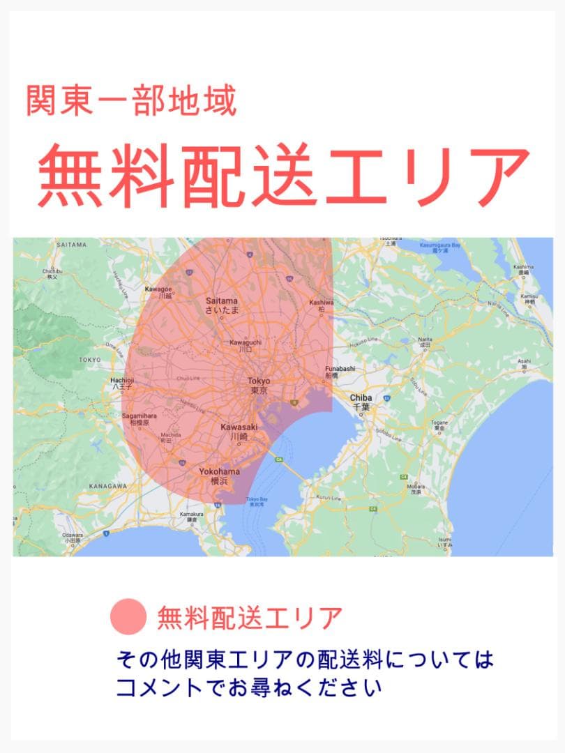 2020年 超人気 王様 ギュットアニーズ子供乗せ電動アシスト自転車 H2557