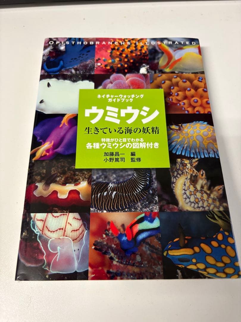 ウミウシ生きている海の妖精 : ネイチャーウォッチングガイドブック : 特徴が…