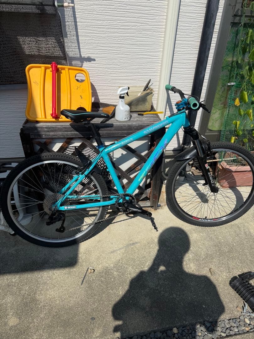 TREK 4600? フレーム 再塗装