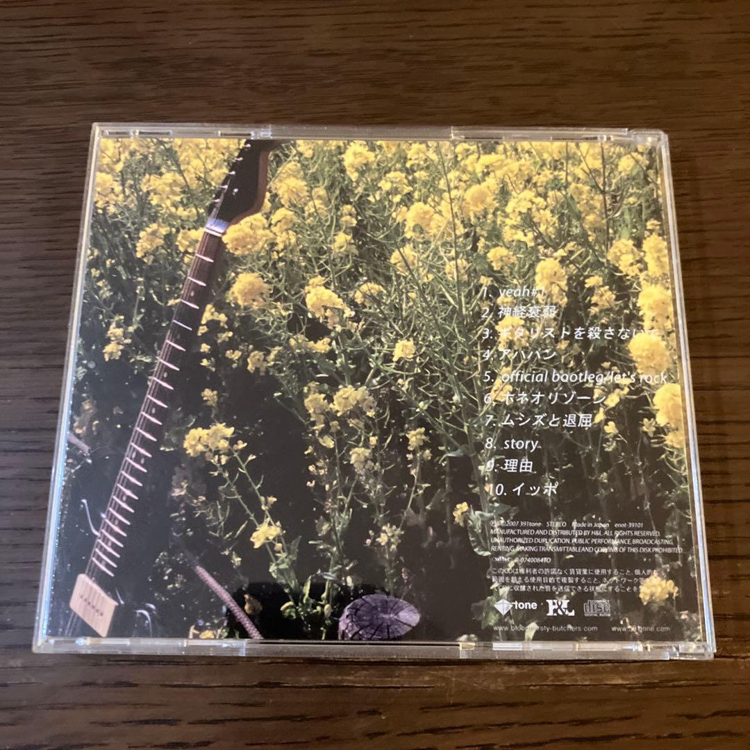 bloodthirsty butchers / ギタリストを殺さないで