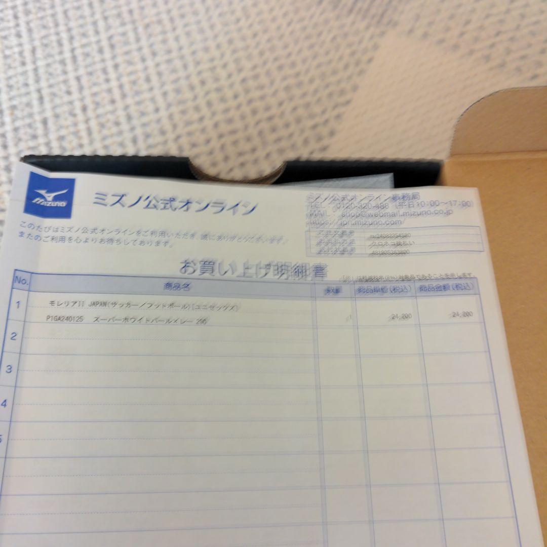 29cm限定カラー　ミズノ　モレリア 2 JAPAN