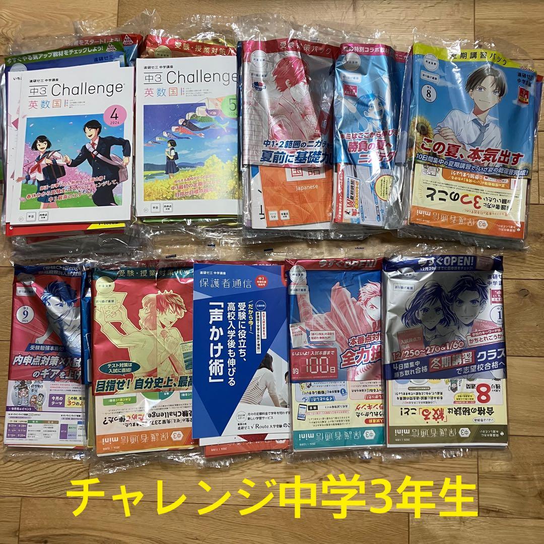 チャレンジ中学3年生 10ヶ月分セット