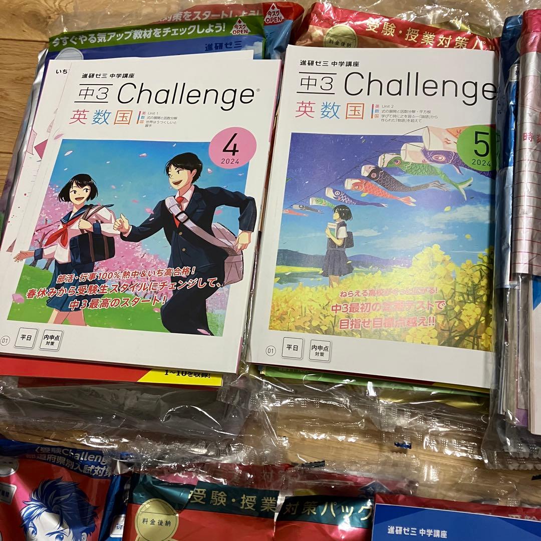チャレンジ中学3年生 10ヶ月分セット